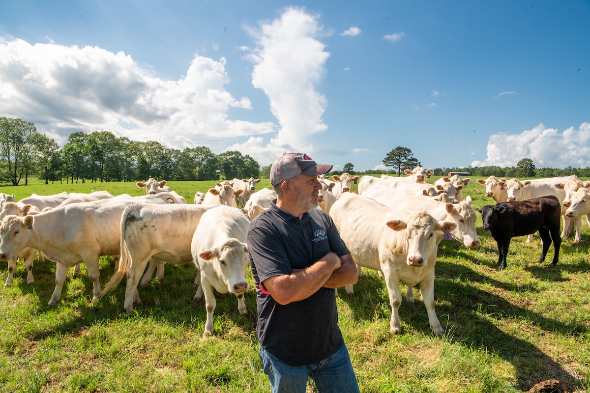 What to Look for When Buying Farm Land